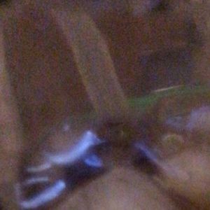 Meet your Posher, Sharon